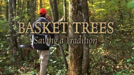 Video thumbnail: Sustainable Maine Basket Trees - Saving a Tradition