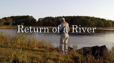 Video thumbnail: Sustainable Maine Return of a River