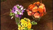 Amy's Table - Celebrate: Robin Wood Flowers with Tapas