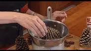 Amy's Table - Quick Tips: Fire Starter