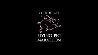 The Flying Pig 2014