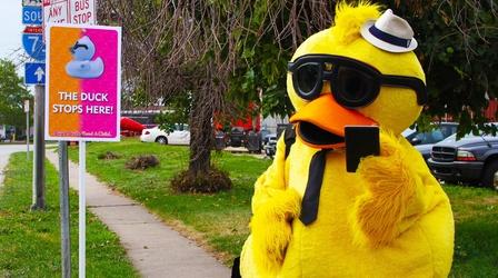 Video thumbnail: Focus Rubber Duck Regatta 2013