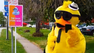 Rubber Duck Regatta 2013