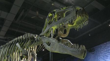 Video thumbnail: Focus Ultimate Dinosaurs: Giants from Gondwana