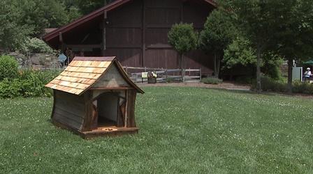 Video thumbnail: Mountain Lake Journal EXTRA July 19, 2012