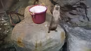 Winter At The Wild Center