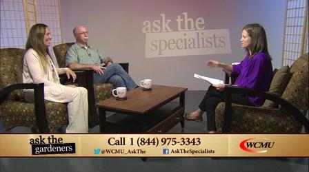 Video thumbnail: Ask The Specialists Ask the Gardeners