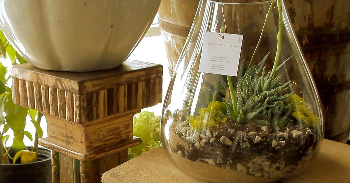 Destination Michigan Traverse City Darling Botanical Company