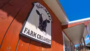 Traverse City: Moomers