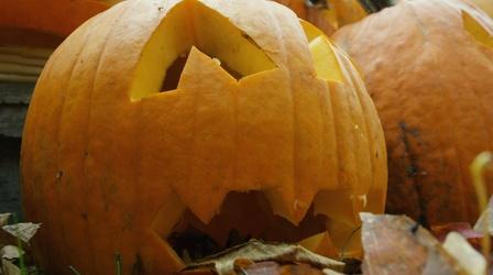 Video thumbnail: Destination Michigan Shepherd: Jumpin' Jack-O'-Lanterns!