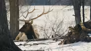 Gaylord: Elk Park