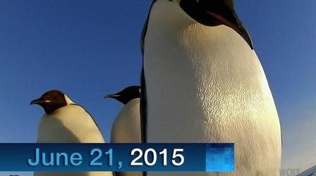 Video thumbnail: WCNY SciTech Now WCNY SciTech Now 6/21/15