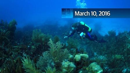Video thumbnail: WCNY SciTech Now SciTech Now 03/10/16