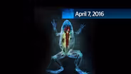 SciTech Now 04/07/16
