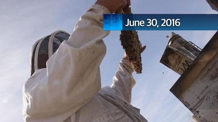 Video thumbnail: WCNY SciTech Now SciTech Now 06/30/16