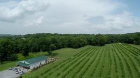 Video thumbnail: Live Green Tennessee Live Green Tennessee 902