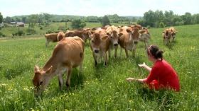 Video thumbnail: Live Green Tennessee Live Green Tennessee 904