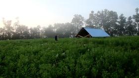 Video thumbnail: Live Green Tennessee Live Green Tennessee 906