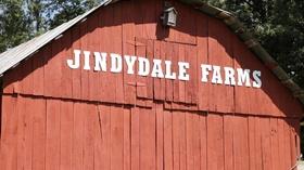 Video thumbnail: Live Green Tennessee Live Green Tennessee 907