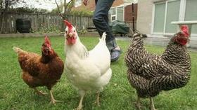 Video thumbnail: Charlottesville Inside-Out Virginia Cooperative Extension; The Senior Center (#710)