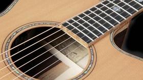 Video thumbnail: Charlottesville Inside-Out Virginia Craft Brewers Festival; Rockbridge Guitars (#711)