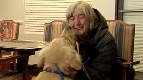 Video thumbnail: Charlottesville Inside-Out Green Dogs Unleashed; Hospice of the Piedmont (#906)