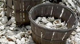 Video thumbnail: Virginia Currents Rappahannock Oysters, Derico Cooper