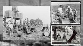 Video thumbnail: Virginia Currents Sorghum Molasses; Shine & Rise Farm; VA Beekeepers (#2414)