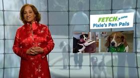 Video thumbnail: Virginia Currents FETCH a Cure Pixie's Pen Pals; The People's Library (#2505)