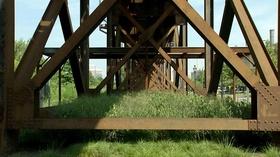 Video thumbnail: Virginia Home Grown Richmond Low Line; Growing Hops; Mountain Mint (#1605)