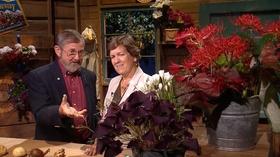 Video thumbnail: Virginia Home Grown Chemical-free Gardening; Woods in Your Backyard (#1607)
