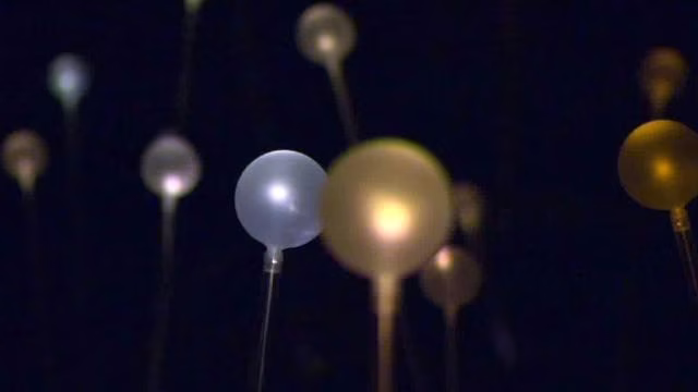 Light: Bruce Munro at Cheekwood