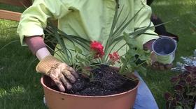 Video thumbnail: Second Act Container Gardening; Compounding Pharmacies; Cultural Venues