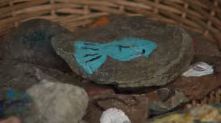 Wildrock