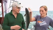 A Summer Salmon - Hailey Deritis