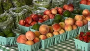 The History of Farmers Markets | Trail of History