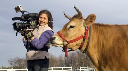 Video thumbnail: Up Close With Cathy Unruh December 2013: Peaceable Kingdom