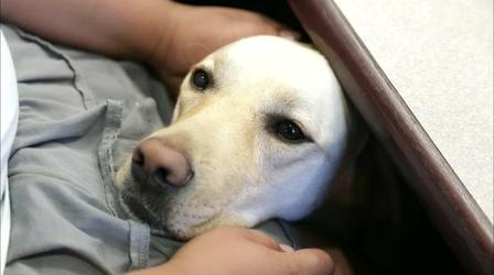 Video thumbnail: Up Close With Cathy Unruh September 2016: Southeastern Guide Dogs