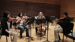 414: Tampa Metropolitan Youth Orchestra