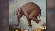 424: Kevin Sloan