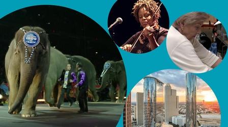 Video thumbnail: WEDU Arts Plus Episode 435