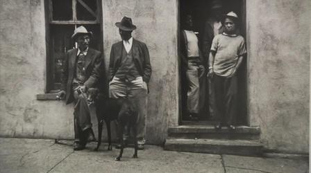Video thumbnail: WEDU Arts Plus 504: Gordon Parks