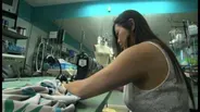 515: Chloe Dao