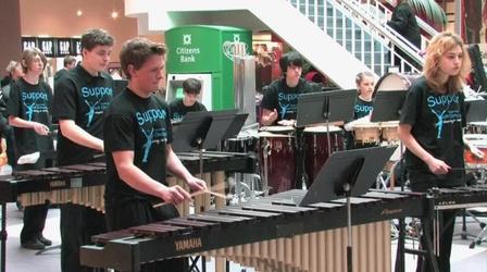 Video thumbnail: WEDU Arts Plus 516: Empire State Youth Orchestras