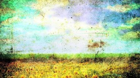 Video thumbnail: WEDU Arts Plus 516: Angela Vories