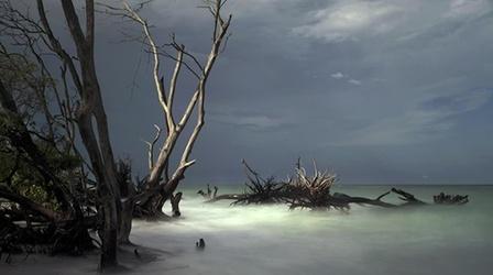 Video thumbnail: WEDU Arts Plus 531: Grant Jefferies