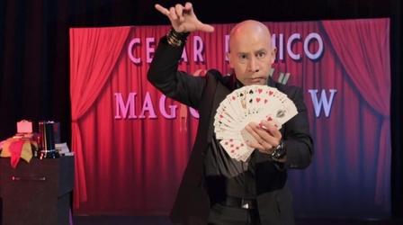 Video thumbnail: WEDU Arts Plus 538: Cesar Domico