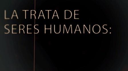 Video thumbnail: WEDU Documentaries Human Trafficking: Repórtelo
