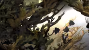 102: Coral Reef Diorama
