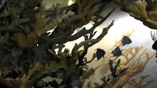 102: Coral Reef Diorama